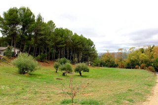 Casa rural en venta en Ronda