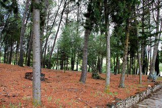 Casa rural en venta en Ronda