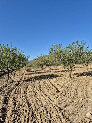 Solar en venta en Bullas