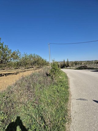 Solar en venta en Bullas