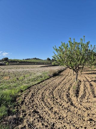 Solar en venta en Bullas