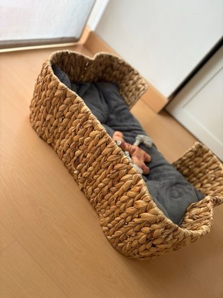 Letto per cani intrecciato