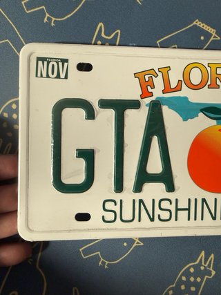 Targa Florida GTA Vice City rara da collezione