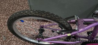 Bicicleta infantil 20 pulgadas morada