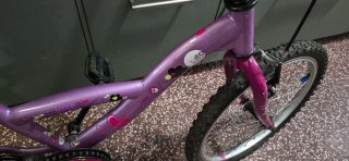 Bicicleta infantil 20 pulgadas morada