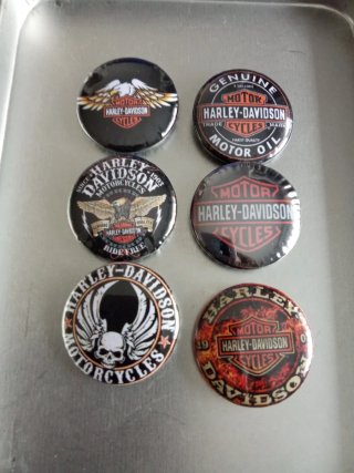Chapas Harley-Davidson Variadas