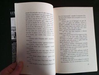 Historia de una gaviota y del gato que le enseñ...