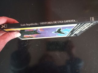 Historia de una gaviota y del gato que le enseñ...