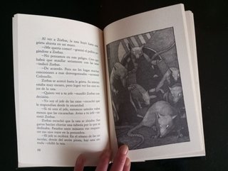 Historia de una gaviota y del gato que le enseñ...
