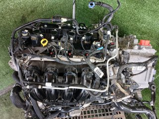 MOTOR COMPLETO Ford Kuga (2019->2024)