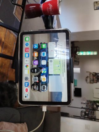 iPad mini gris espacial 64GB