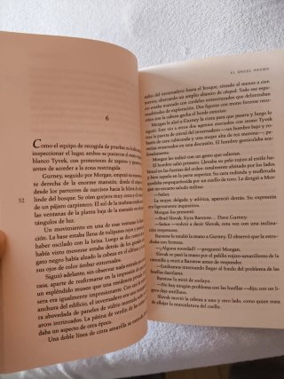 Libro misterio El Ángel Negro