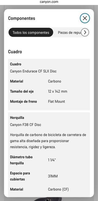 Canyon Endurace CF SLX Disc 9