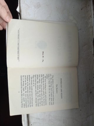 Peter pan and Wendy agarthis press antiguo