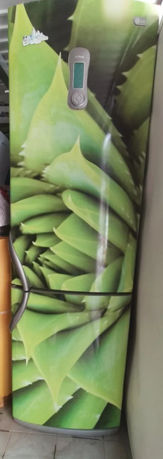 Nevera LG con diseño Aloe Vera