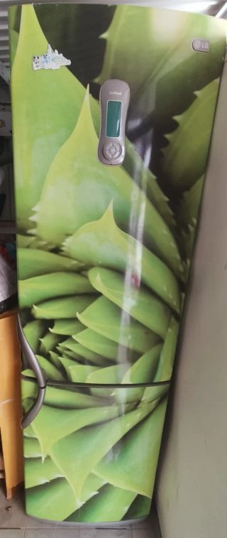 Nevera LG con diseño Aloe Vera