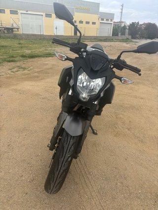 Kawasaki Z125 2024