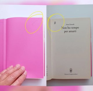 Anna Premoli 2 libri