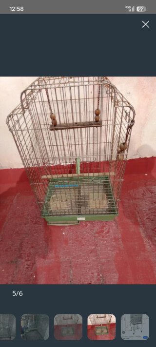 Jaula para loro