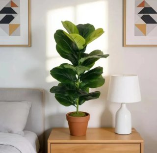 Planta Artificial 113cms Ficus Lyrata