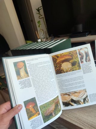 Historia Natural Enciclopedias