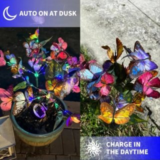 2 Luci Solari Farfalla da Giardino