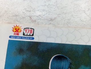 Neo Geo AES Art of Fighting 2 Insert Japonés