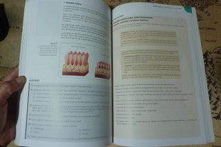 Anatomofisiología i patologia bàsiques
