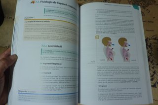 Anatomofisiología i patologia bàsiques