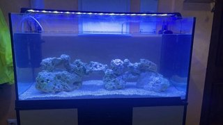 Acuario 200L
