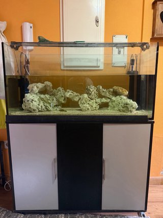 Acuario 200L