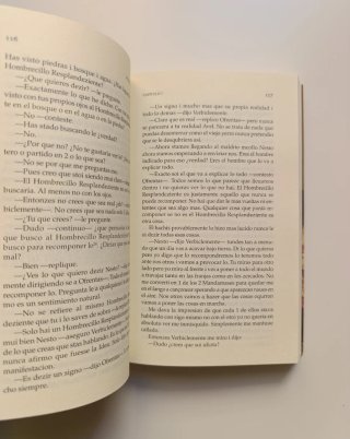 Dudo Errante (Riddley Walker).
