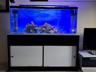 Acuario Marino desmontaje, pregúntame.