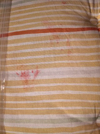 Cojines para tumbona beige y rojo