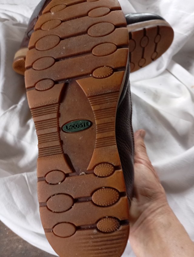 Botas Lacoste Homem Castanhas