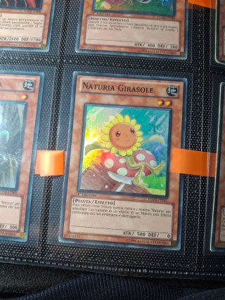 Carte Yu-Gi-Oh! Jurrac e Naturia