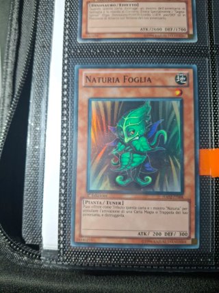 Carte Yu-Gi-Oh! Jurrac e Naturia