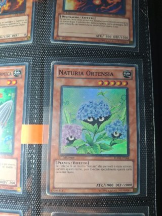 Carte Yu-Gi-Oh! Jurrac e Naturia
