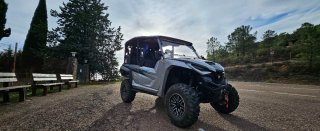 Yamaha Wolverine RMAX 4 1000
