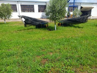 Carretilla paraguas aceituna/almendra