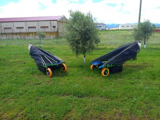 Carretilla paraguas aceituna/almendra