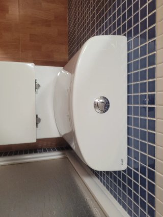 Inodoro Roca Dama Senso Blanco