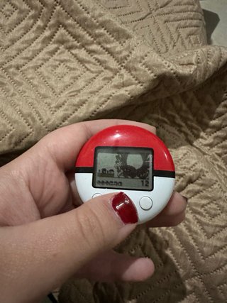 Pokewalker Heart Gold Silver Nintendo