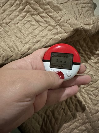 Pokewalker Heart Gold Silver Nintendo