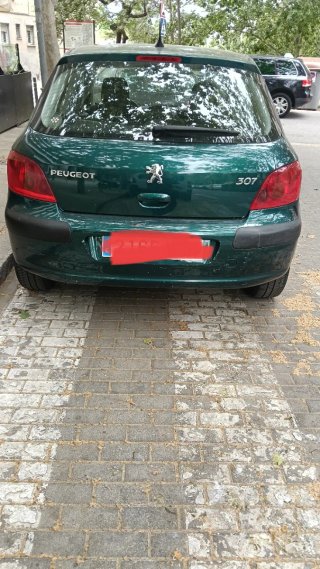 Peugeot 307 2002
