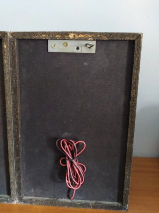 2 Altavoces Philips