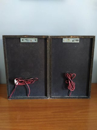 2 Altavoces Philips