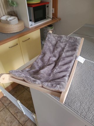 Hamaca para gato de pared