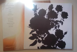 Vinilo Christina Rosenvinge - Tu Labio Superior