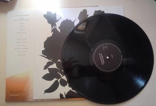 Vinilo Christina Rosenvinge - Tu Labio Superior